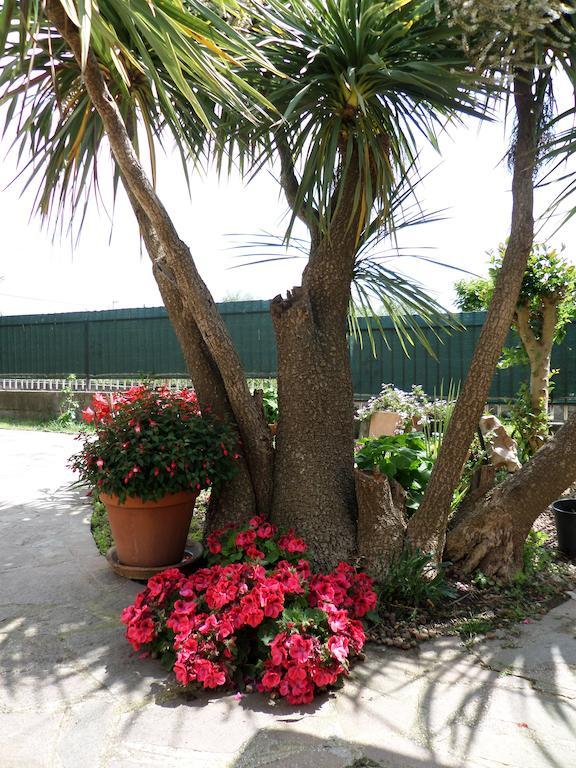 מרינו B&B Villino Lory מראה חיצוני תמונה