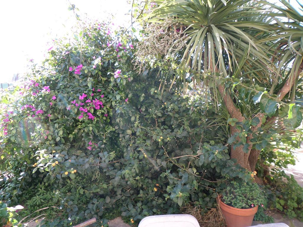 מרינו B&B Villino Lory מראה חיצוני תמונה